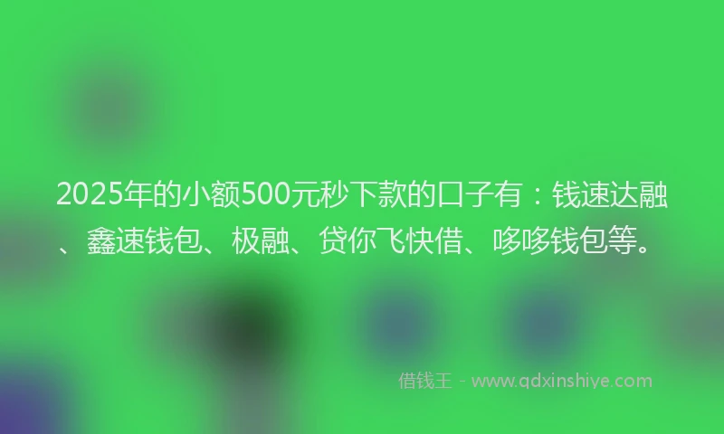2025年的小额500元秒下款的口子有：钱速达融、鑫速钱包、极融、贷你飞快借、哆哆钱包等。