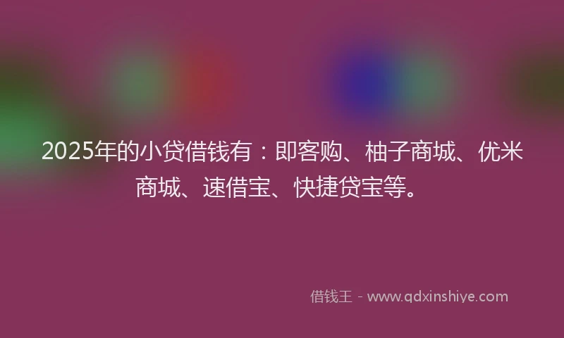 2025年的小贷借钱有：即客购、柚子商城、优米商城、速借宝、快捷贷宝等。