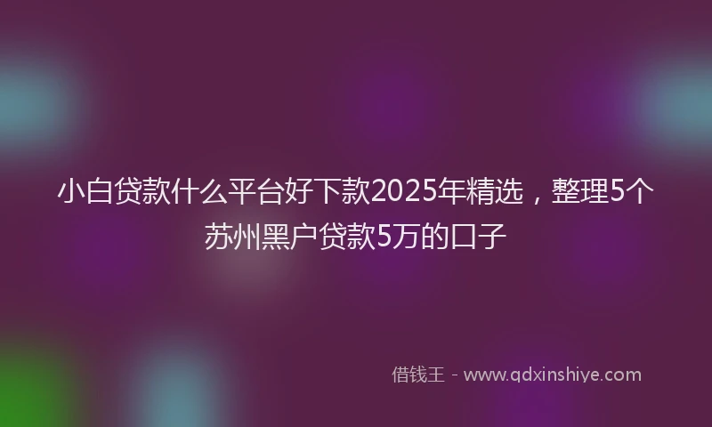 小白贷款什么平台好下款2025年精选，整理5个苏州黑户贷款5万的口子