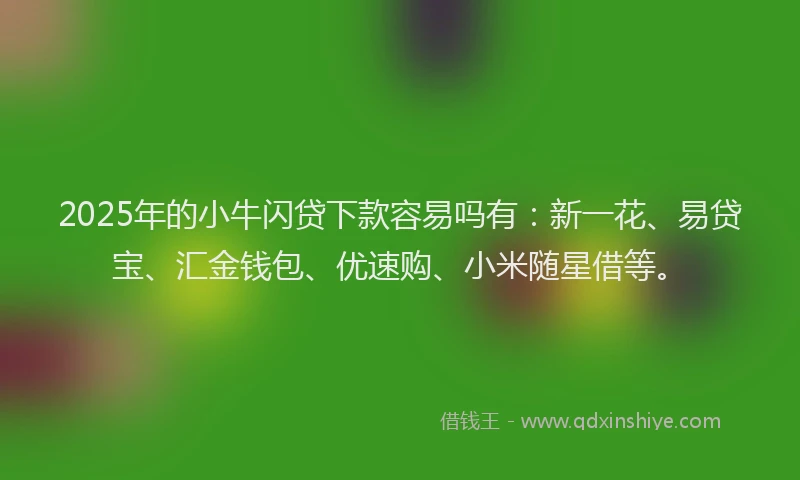 2025年的小牛闪贷下款容易吗有：新一花、易贷宝、汇金钱包、优速购、小米随星借等。