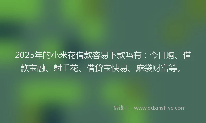2025年的小米花借款容易下款吗有：今日购、借款宝融、射手花、借贷宝快易、麻袋财富等。
