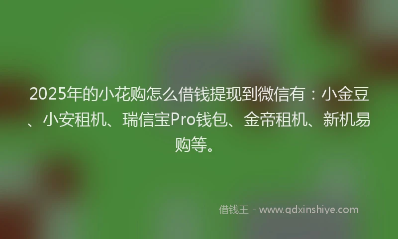 2025年的小花购怎么借钱提现到微信有：小金豆、小安租机、瑞信宝Pro钱包、金帝租机、新机易购等。