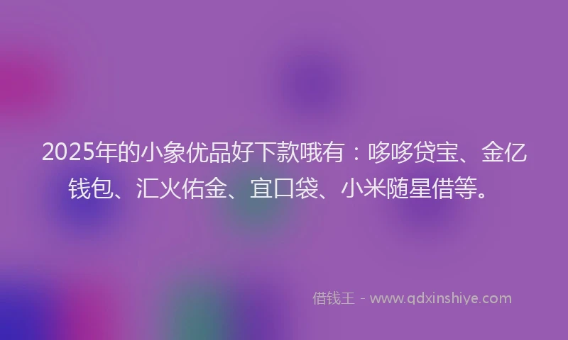 2025年的小象优品好下款哦有：哆哆贷宝、金亿钱包、汇火佑金、宜口袋、小米随星借等。