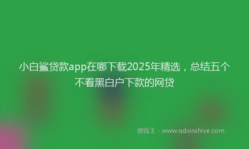 小白鲨贷款app在哪下载2025年精选，总结五个不看黑白户下款的网贷