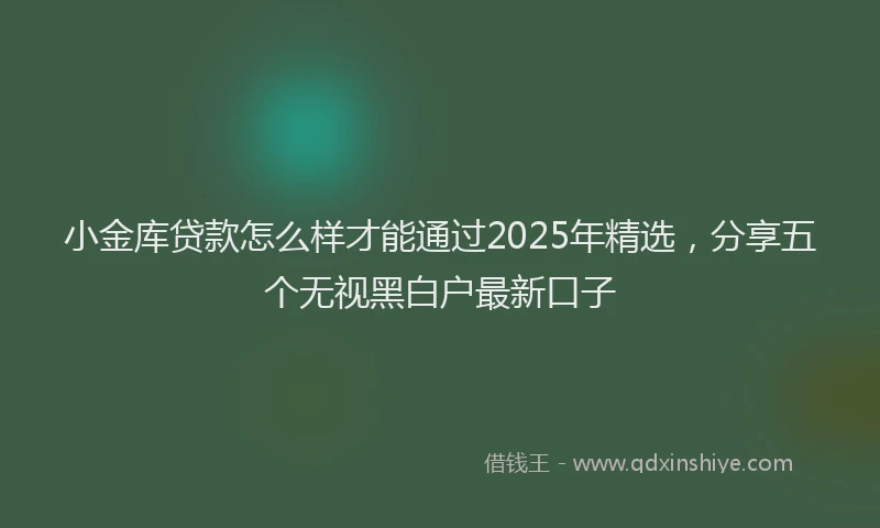小金库贷款怎么样才能通过2025年精选，分享五个无视黑白户最新口子