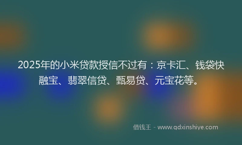 2025年的小米贷款授信不过有：京卡汇、钱袋快融宝、翡翠信贷、甄易贷、元宝花等。