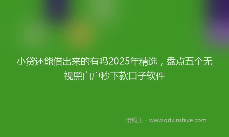 小贷还能借出来的有吗2025年精选，盘点五个无视黑白户秒下款口子软件