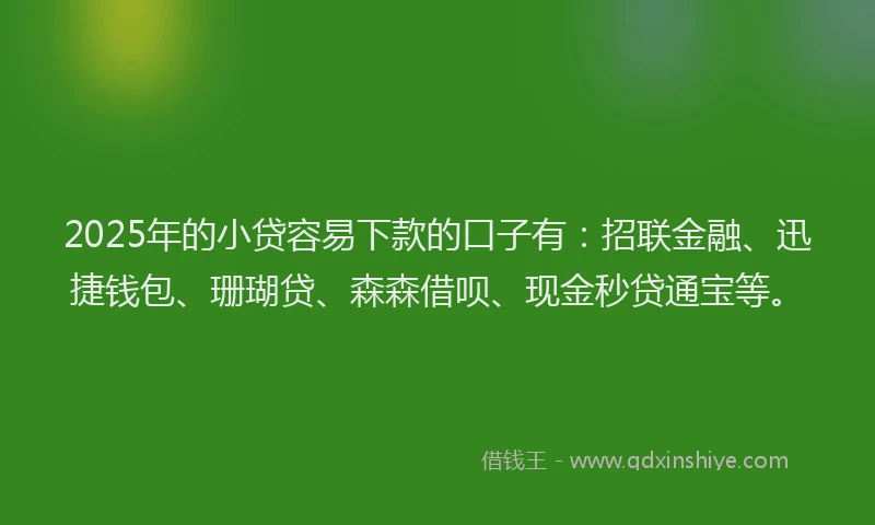 2025年的小贷容易下款的口子有：招联金融、迅捷钱包、珊瑚贷、森森借呗、现金秒贷通宝等。