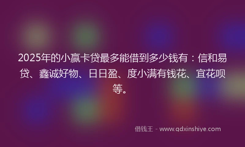 2025年的小赢卡贷最多能借到多少钱有：信和易贷、鑫诚好物、日日盈、度小满有钱花、宜花呗等。