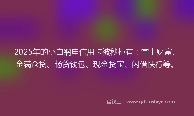 2025年的小白網申信用卡被秒拒有：掌上财富、金满仓贷、畅贷钱包、现金贷宝、闪借快行等。