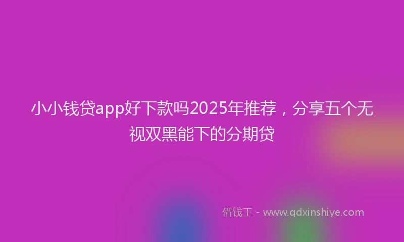 小小钱贷app好下款吗2025年推荐，分享五个无视双黑能下的分期贷