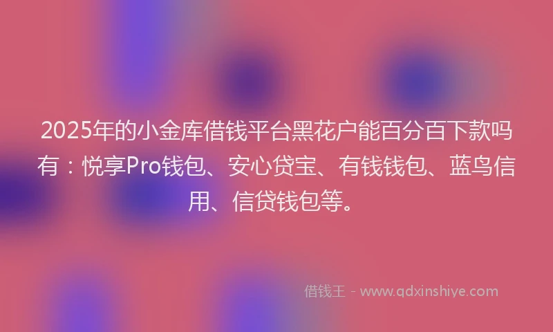 2025年的小金库借钱平台黑花户能百分百下款吗有：悦享Pro钱包、安心贷宝、有钱钱包、蓝鸟信用、信贷钱包等。