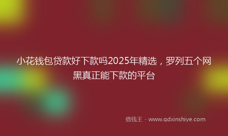 小花钱包贷款好下款吗2025年精选，罗列五个网黑真正能下款的平台