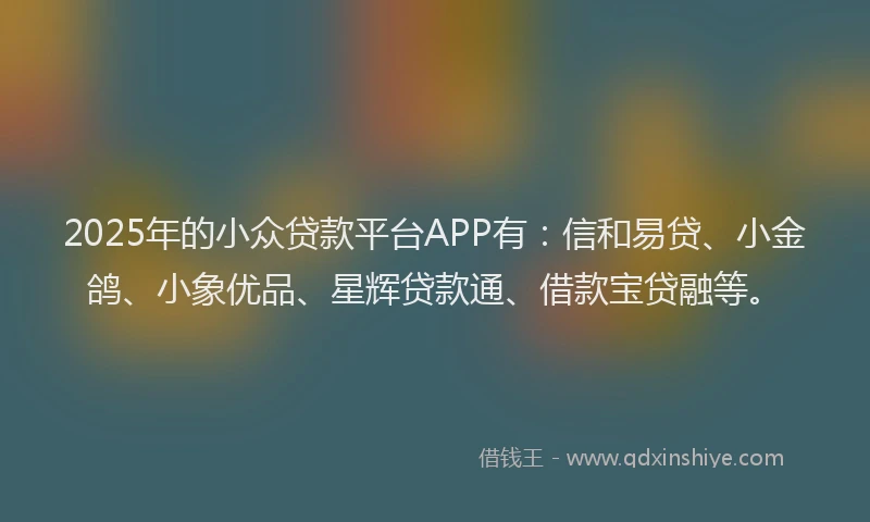 2025年的小众贷款平台APP有：信和易贷、小金鸽、小象优品、星辉贷款通、借款宝贷融等。