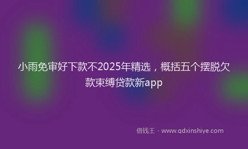 小雨免审好下款不2025年精选，概括五个摆脱欠款束缚贷款新app