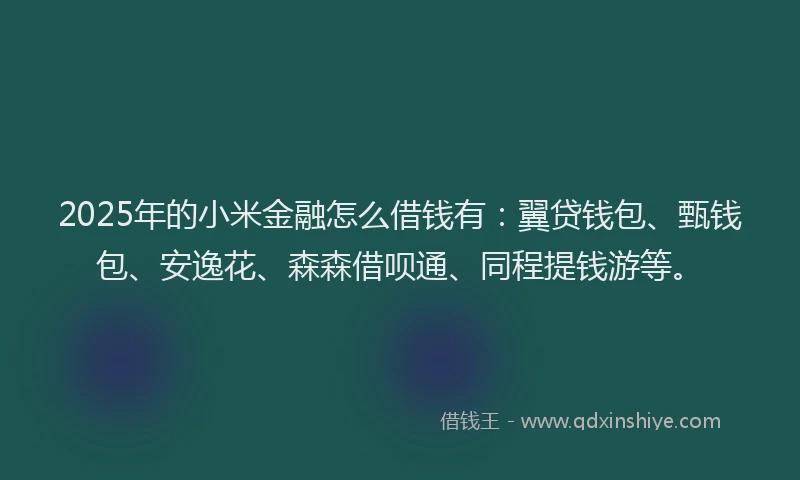 2025年的小米金融怎么借钱有：翼贷钱包、甄钱包、安逸花、森森借呗通、同程提钱游等。