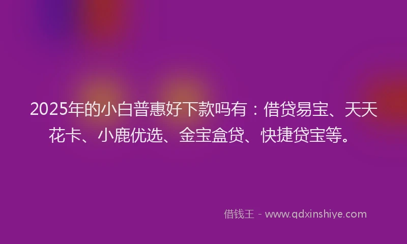 2025年的小白普惠好下款吗有：借贷易宝、天天花卡、小鹿优选、金宝盒贷、快捷贷宝等。