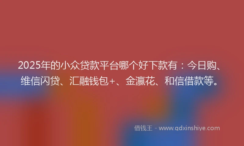 2025年的小众贷款平台哪个好下款有：今日购、维信闪贷、汇融钱包+、金瀛花、和信借款等。