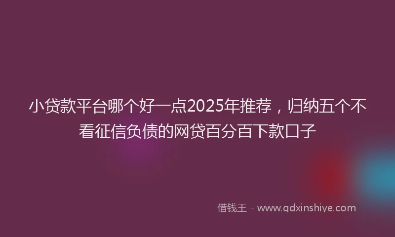 小贷款平台哪个好一点2025年推荐，归纳五个不看征信负债的网贷百分百下款口子