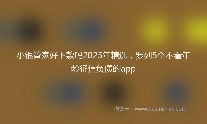小银管家好下款吗2025年精选，罗列5个不看年龄征信负债的app