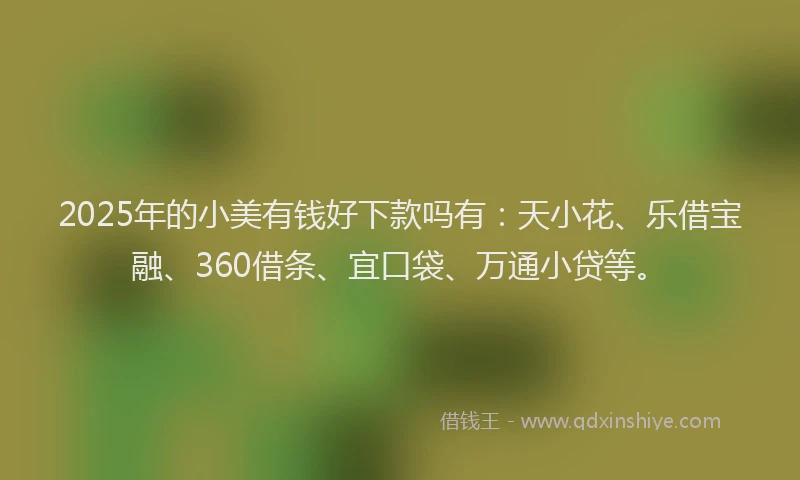 2025年的小美有钱好下款吗有：天小花、乐借宝融、360借条、宜口袋、万通小贷等。
