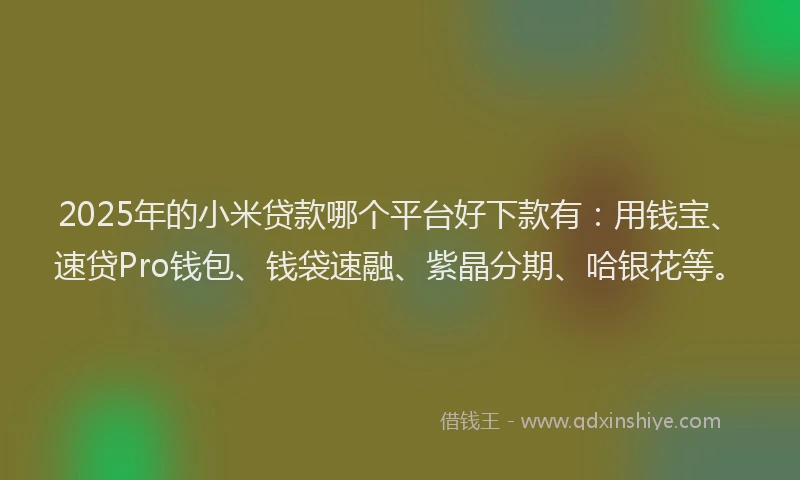 2025年的小米贷款哪个平台好下款有：用钱宝、速贷Pro钱包、钱袋速融、紫晶分期、哈银花等。