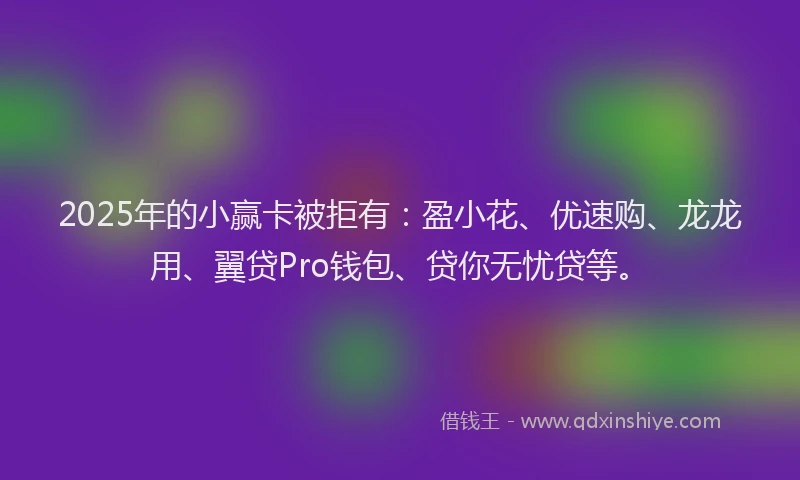2025年的小赢卡被拒有：盈小花、优速购、龙龙用、翼贷Pro钱包、贷你无忧贷等。