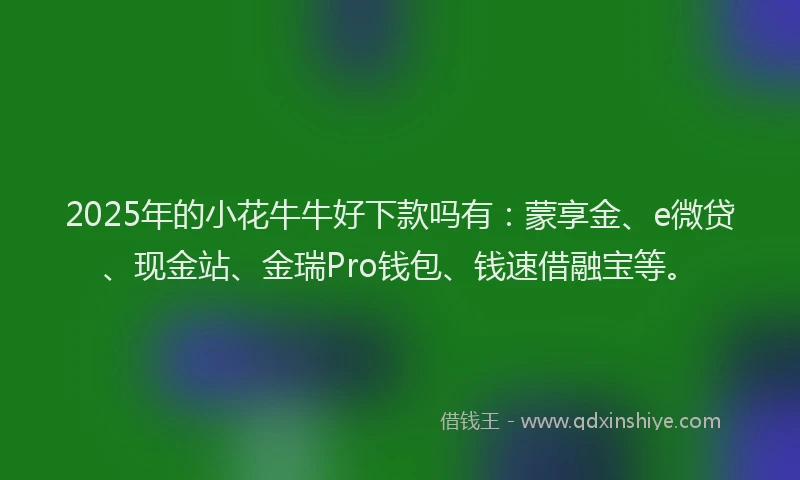 2025年的小花牛牛好下款吗有：蒙享金、e微贷、现金站、金瑞Pro钱包、钱速借融宝等。