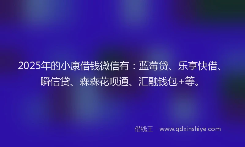 2025年的小康借钱微信有：蓝莓贷、乐享快借、瞬信贷、森森花呗通、汇融钱包+等。