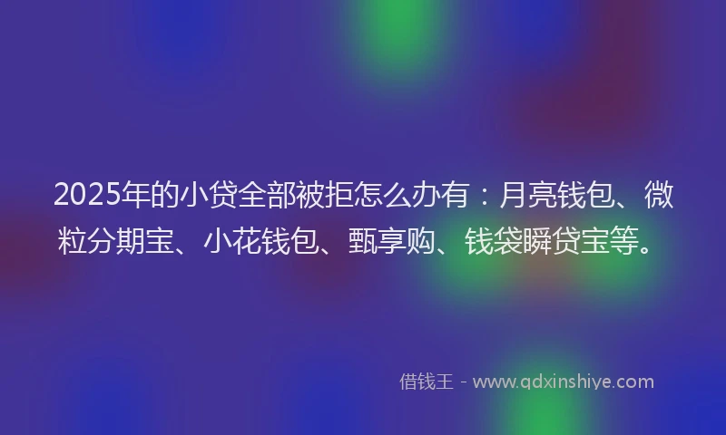 2025年的小贷全部被拒怎么办有：月亮钱包、微粒分期宝、小花钱包、甄享购、钱袋瞬贷宝等。