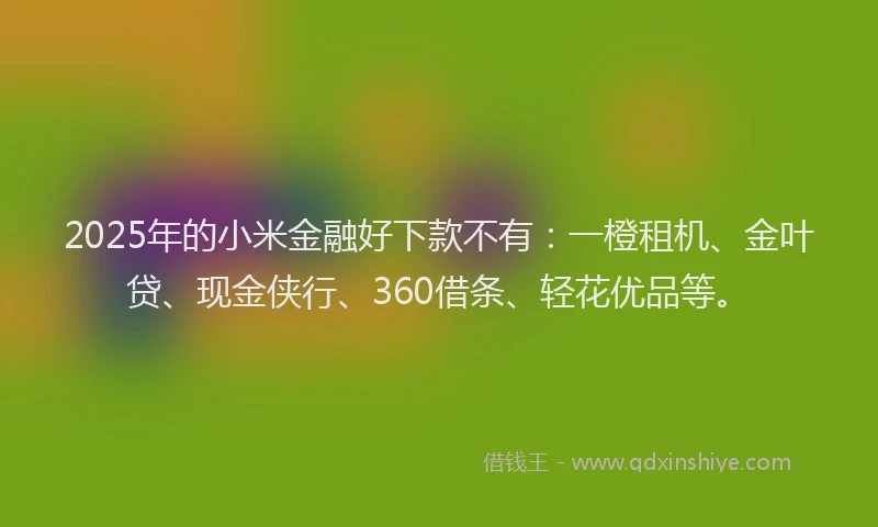 2025年的小米金融好下款不有：一橙租机、金叶贷、现金侠行、360借条、轻花优品等。