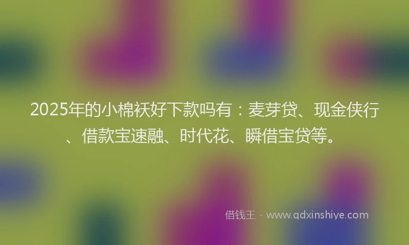 2025年的小棉袄好下款吗有：麦芽贷、现金侠行、借款宝速融、时代花、瞬借宝贷等。