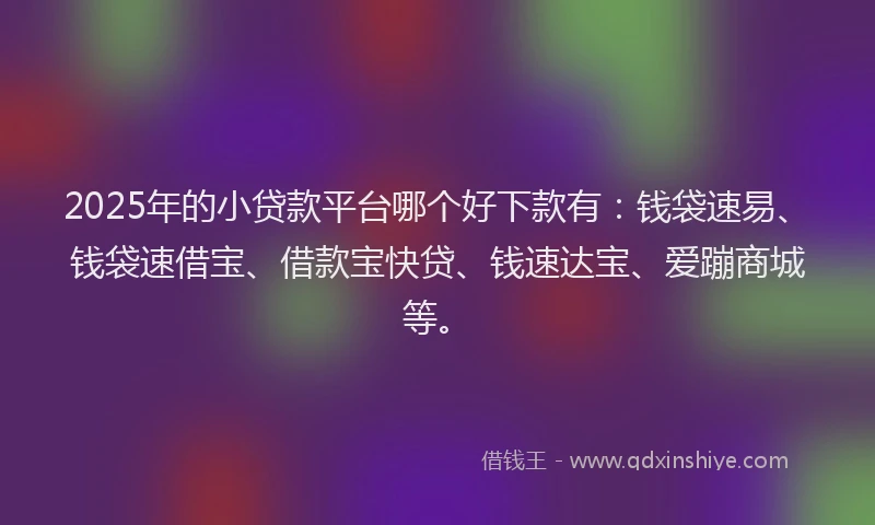 2025年的小贷款平台哪个好下款有：钱袋速易、钱袋速借宝、借款宝快贷、钱速达宝、爱蹦商城等。