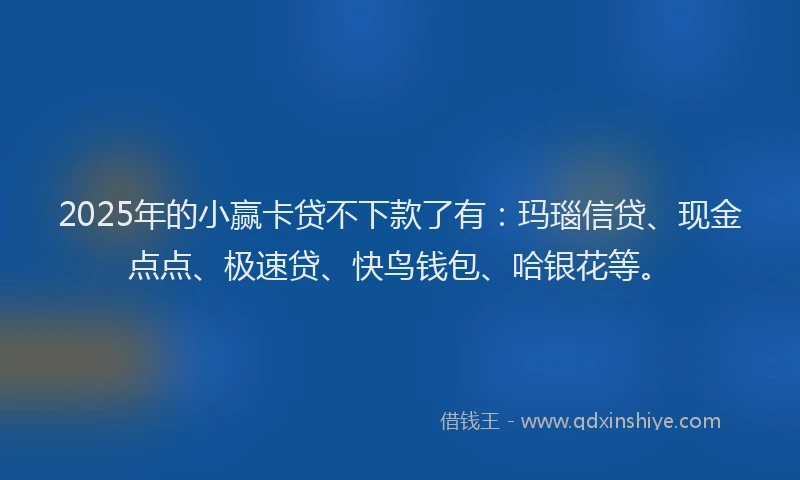 2025年的小赢卡贷不下款了有：玛瑙信贷、现金点点、极速贷、快鸟钱包、哈银花等。