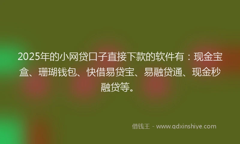 2025年的小网贷口子直接下款的软件有：现金宝盒、珊瑚钱包、快借易贷宝、易融贷通、现金秒融贷等。