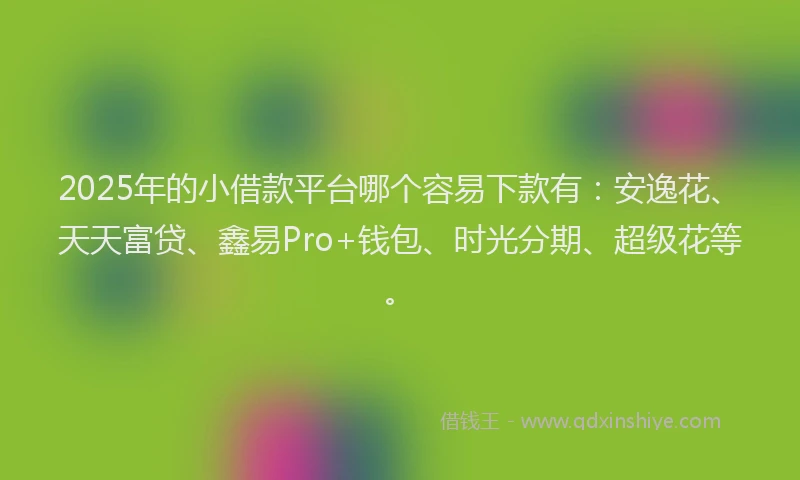 2025年的小借款平台哪个容易下款有：安逸花、天天富贷、鑫易Pro+钱包、时光分期、超级花等。