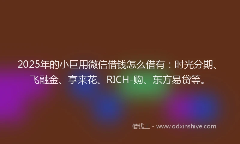 2025年的小巨用微信借钱怎么借有：时光分期、飞融金、享来花、RICH-购、东方易贷等。