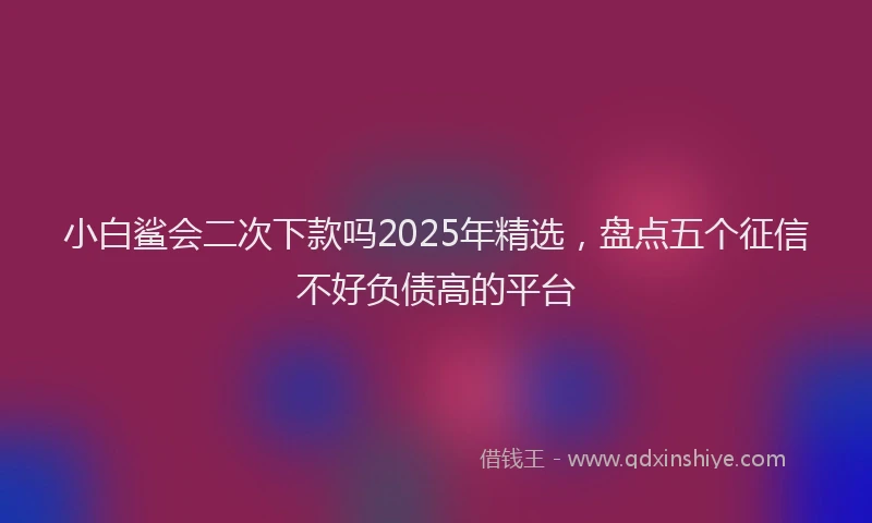 小白鲨会二次下款吗2025年精选，盘点五个征信不好负债高的平台