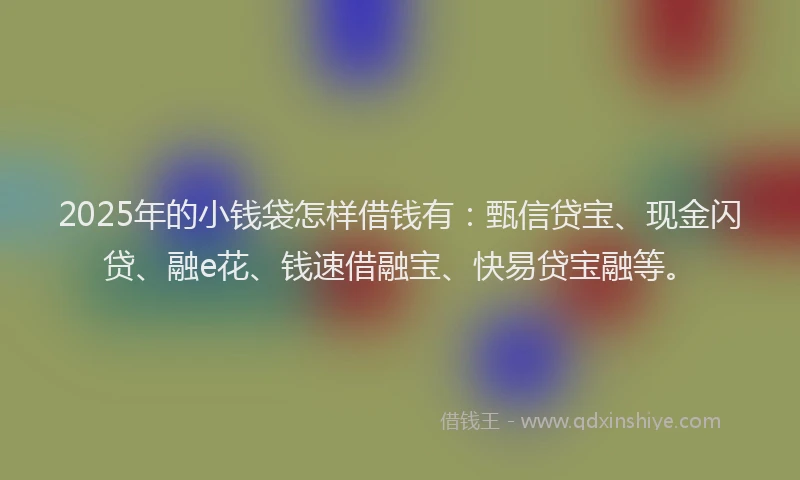 2025年的小钱袋怎样借钱有：甄信贷宝、现金闪贷、融e花、钱速借融宝、快易贷宝融等。