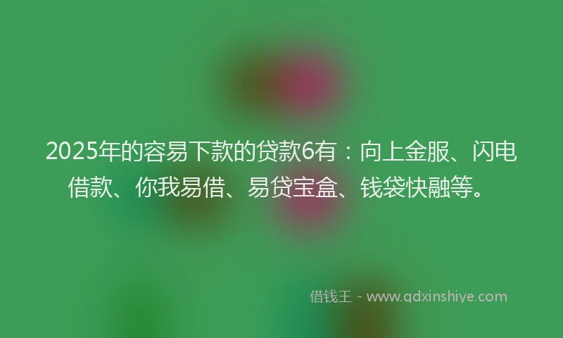 2025年的容易下款的贷款6有：向上金服、闪电借款、你我易借、易贷宝盒、钱袋快融等。