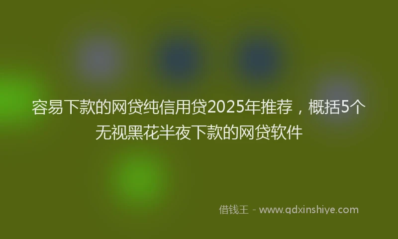 容易下款的网贷纯信用贷2025年推荐，概括5个无视黑花半夜下款的网贷软件