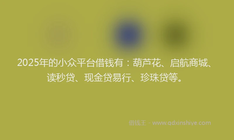 2025年的小众平台借钱有：葫芦花、启航商城、读秒贷、现金贷易行、珍珠贷等。