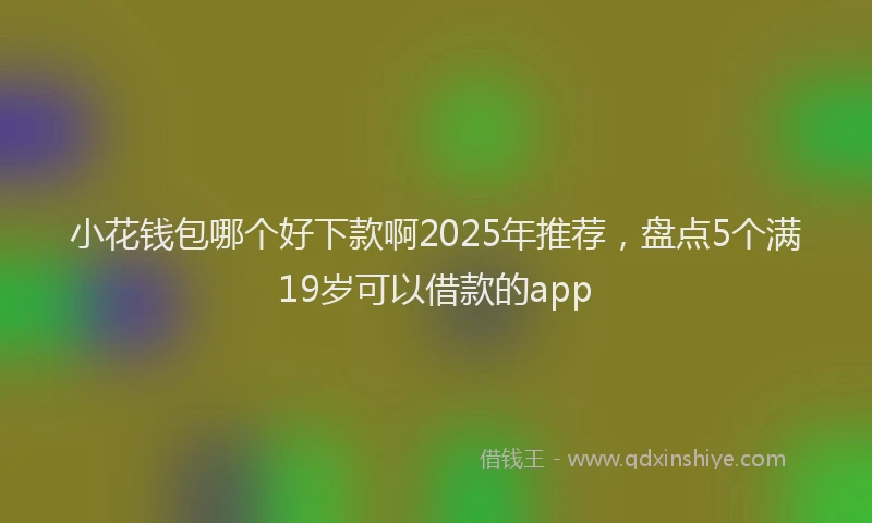 小花钱包哪个好下款啊2025年推荐，盘点5个满19岁可以借款的app