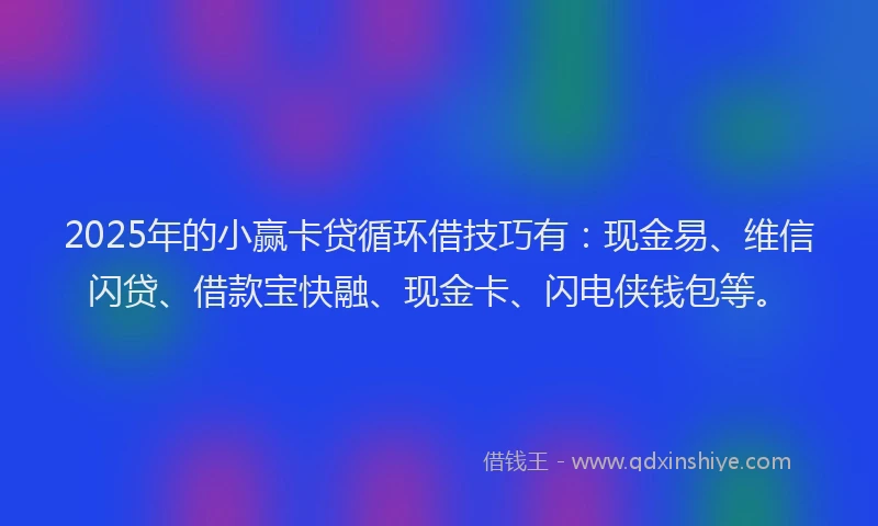 2025年的小赢卡贷循环借技巧有：现金易、维信闪贷、借款宝快融、现金卡、闪电侠钱包等。