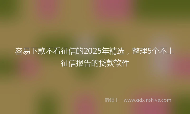 容易下款不看征信的2025年精选，整理5个不上征信报告的贷款软件
