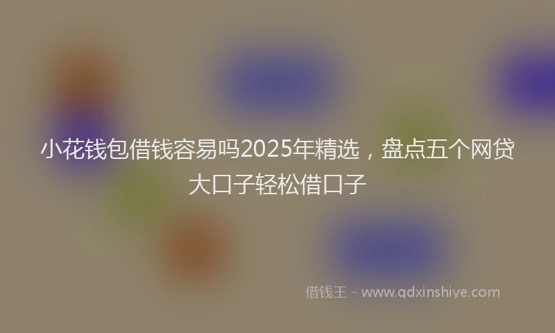 小花钱包借钱容易吗2025年精选，盘点五个网贷大口子轻松借口子