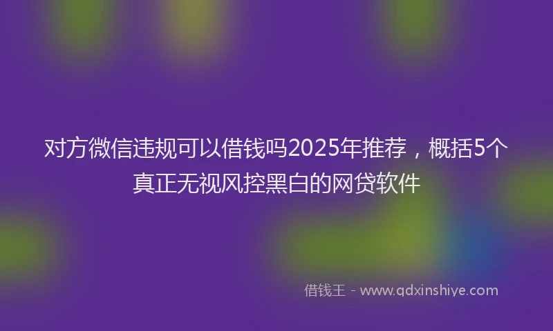对方微信违规可以借钱吗2025年推荐，概括5个真正无视风控黑白的网贷软件