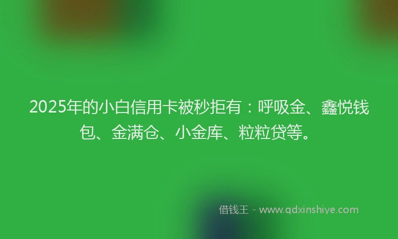 2025年的小白信用卡被秒拒有：呼吸金、鑫悦钱包、金满仓、小金库、粒粒贷等。