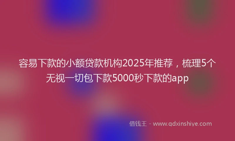 容易下款的小额贷款机构2025年推荐，梳理5个无视一切包下款5000秒下款的app