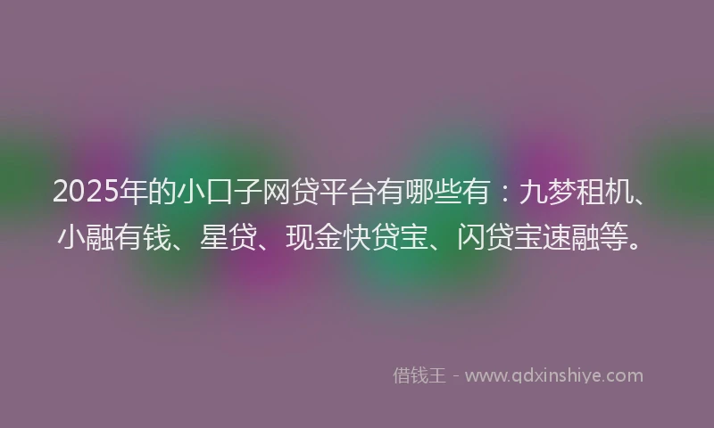 2025年的小口子网贷平台有哪些有：九梦租机、小融有钱、星贷、现金快贷宝、闪贷宝速融等。